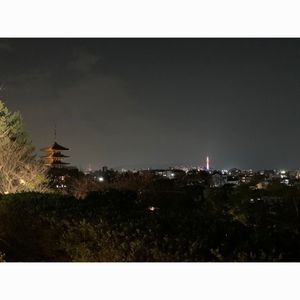 夜の京都観光スポットをご紹介！ライトアップで艶めく街並みを歩こうびゅうトラベル JR東日本