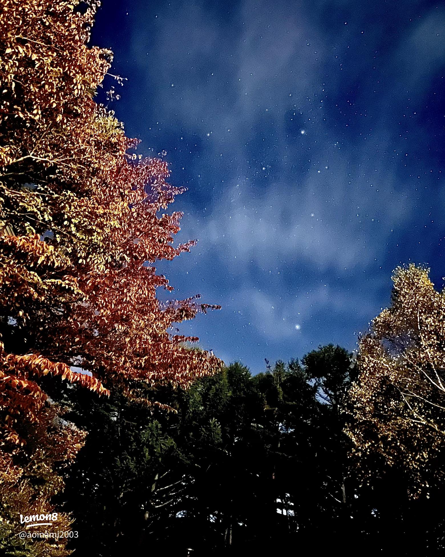 昼も夜も楽しめる奈良の星空スポット「フォレストパーク神野山」天体写真ナビ