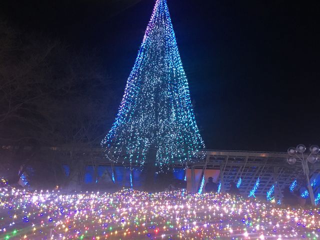 西武園ゆうえんち「イルミージュ」LED総数350万球、埼玉県内最大規模のイルミネーション - ファッションプレス