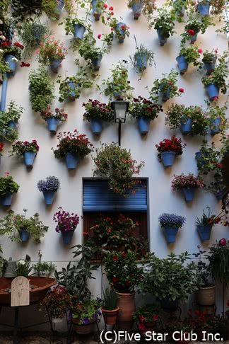 コルドバでやるべき最高のことスペインについてのブログ