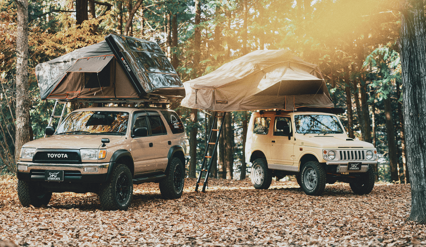 PapaMama CAR'Sカスタム中古車専門店