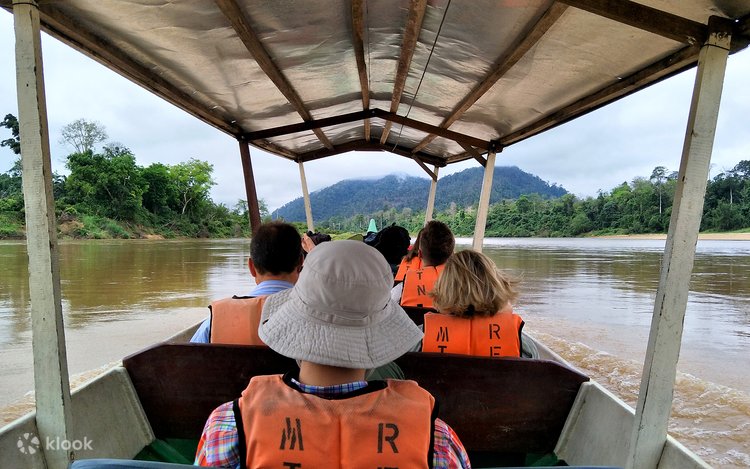 172 タマンネガラ国立公園 Stock
