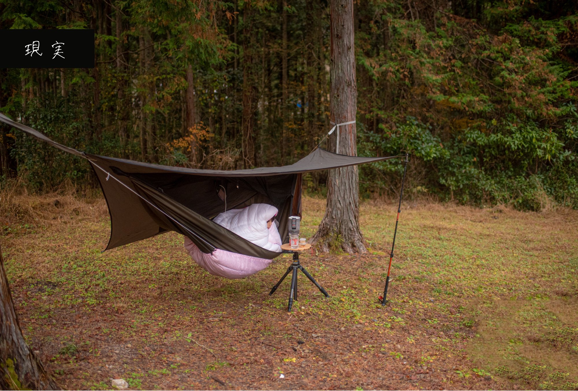 話題のハンモック泊、テントでは味わえない新しいキャンプスタイルが人気に？ 識者に聞く魅力Real Soundリアルサウンド ブック