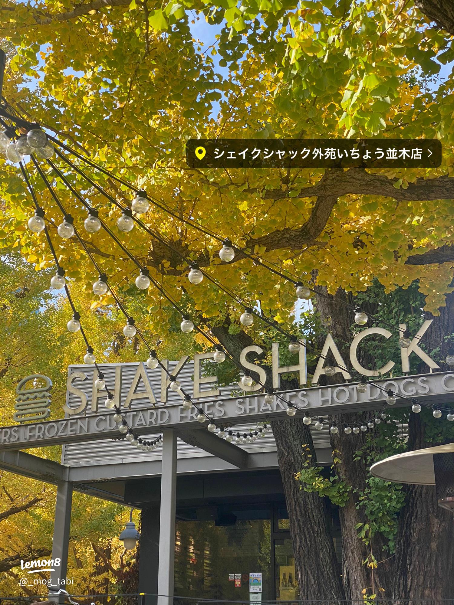 神宮外苑銀杏並木周辺ランチ2025おすすめ・絶品お昼ごはん22選 - 一休.comレストラン