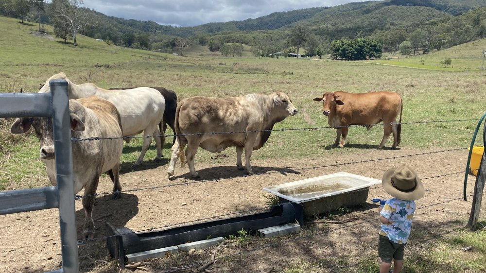 子連れキャラバン生活 in オーストラリア - 田舎町