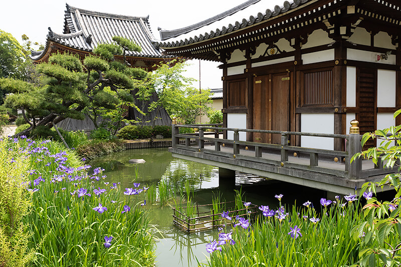 うきは市の観光スポットとグルメ情報2025 年のリアルなLemon8ユーザー体験