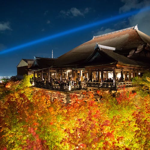 京都タワーを徹底解説！みどころは？グルメ、ショッピング、夜景を楽しむ！京都観光のスタート地点るるぶ&more