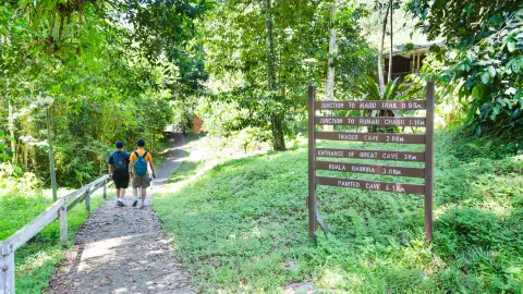 2泊3日 グヌンムル国立公園ツアー サラワククチン発Klook