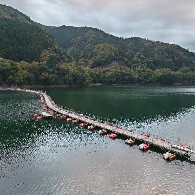 msm**さんの投稿 麦山浮橋ことりっぷ