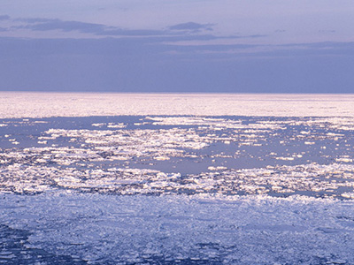 道東の冬の観光スポットを一挙公開！おすすめのモデルコースもご紹介します - 株式会社しゃけを私たちの挑戦で北海道と世界の未来を創造