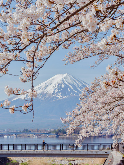 2024年最新版 富士山と紅葉の撮影スポット10選見ごろの時期や撮影に最適な時間は？ - ワンカメラ