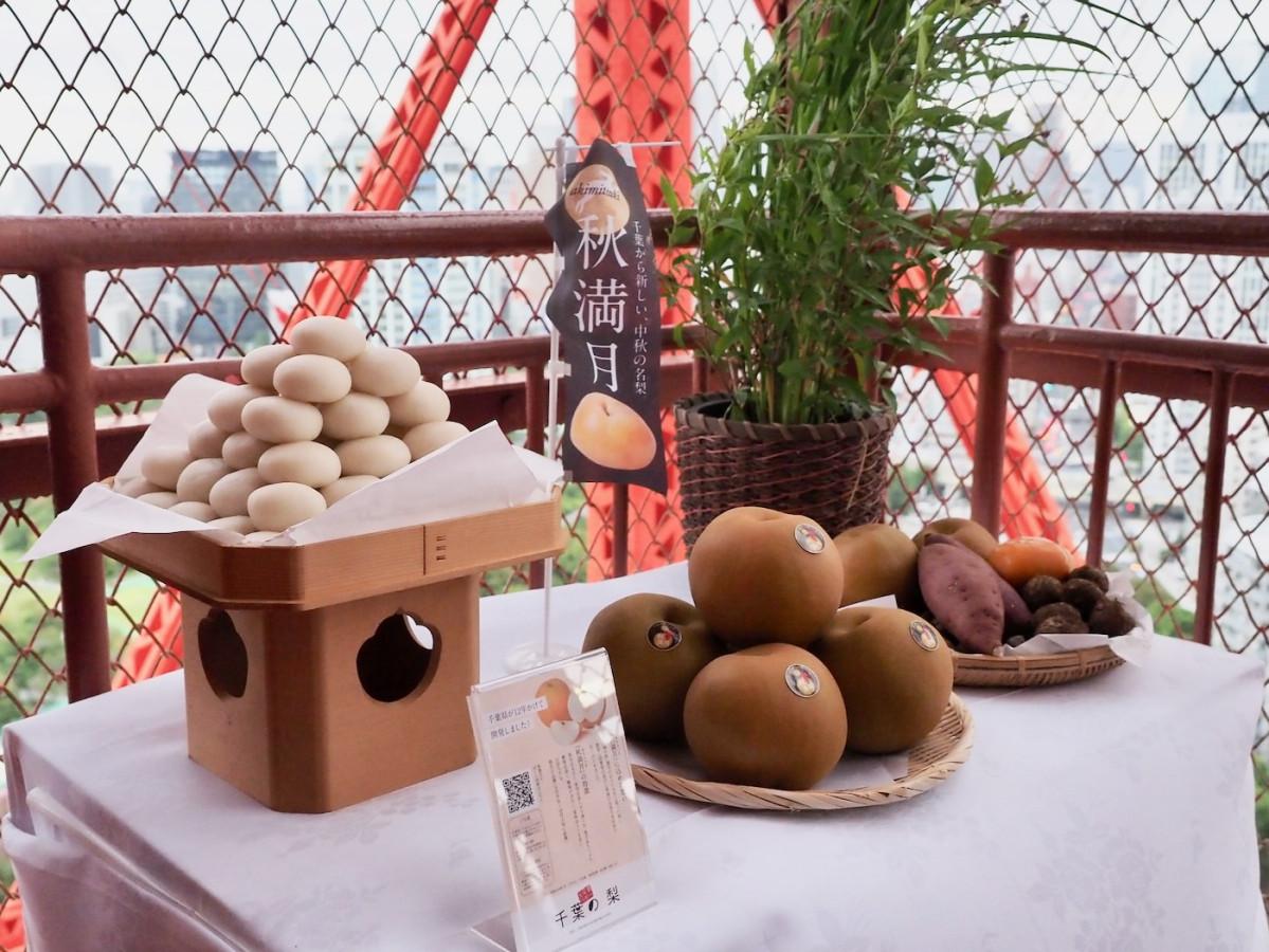 ピンクリボン＠東京タワー - ぶらり東京～23区巡り～