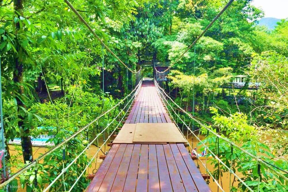 グヌン・ムル国立公園3日間小グループツアー 2025