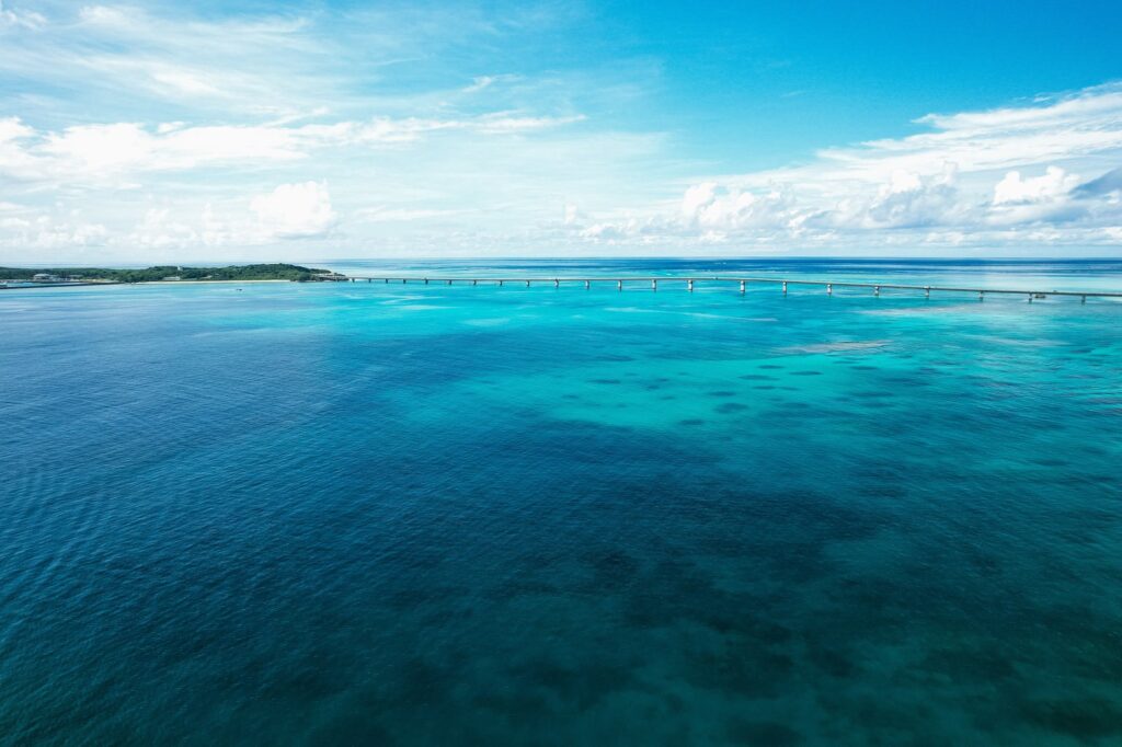 いすみのドライブスポット