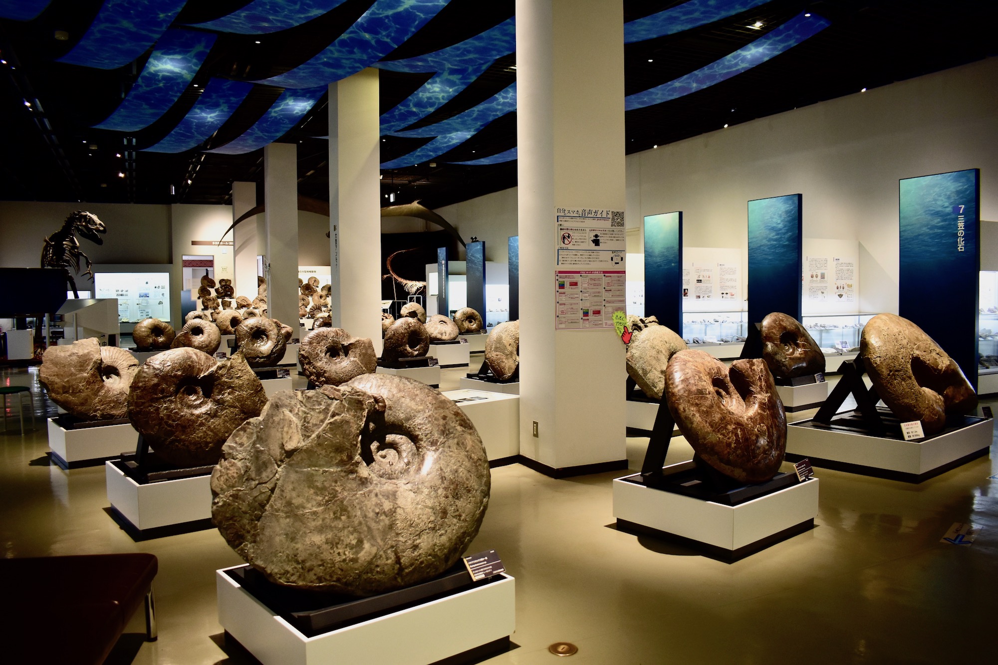 東京マニアック博物館 おもしろ珍ミュージアム案内 新装改訂版 -