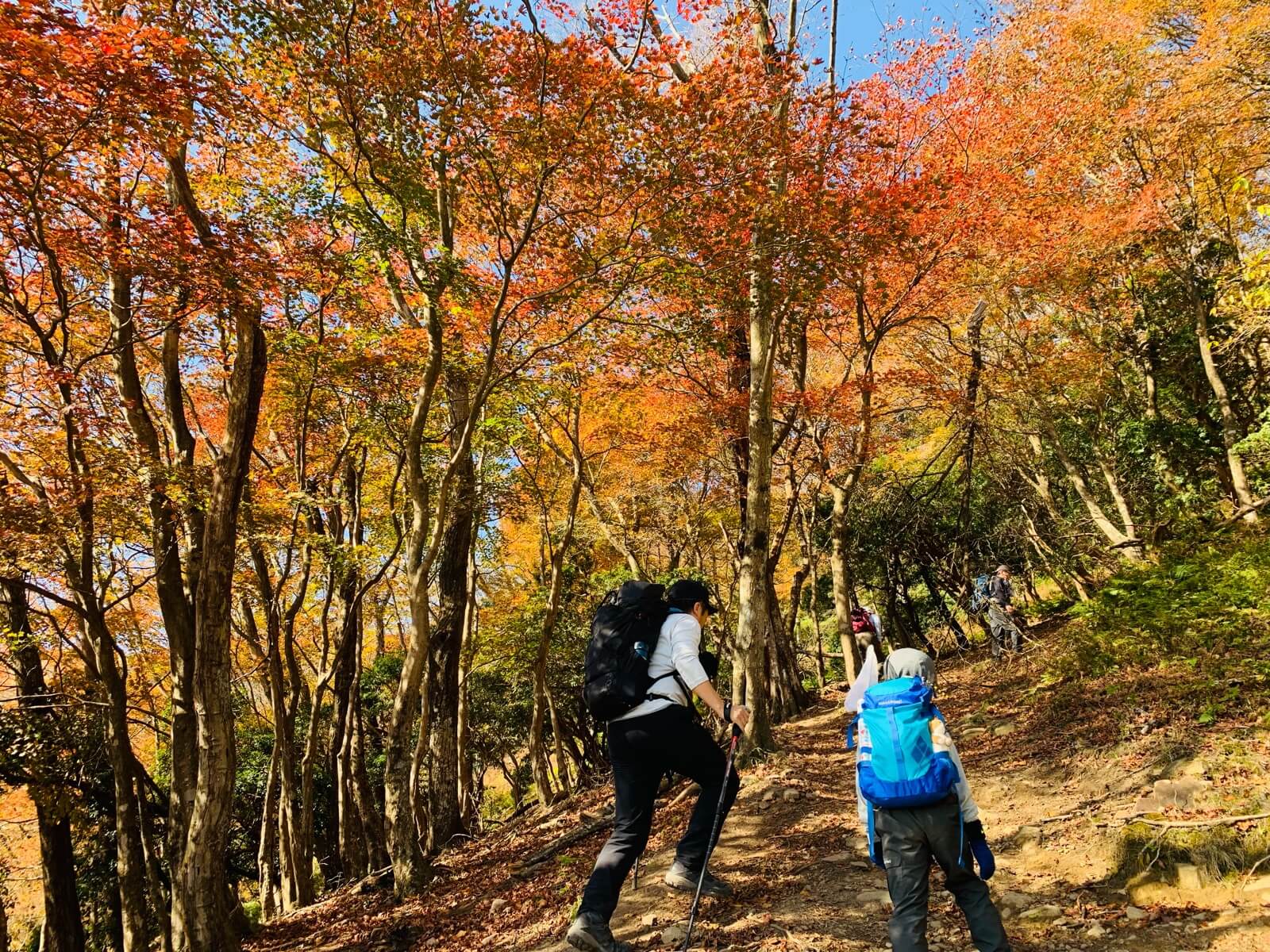 天空の入り口のお山は 椿神社から- 山に癒されて ♪