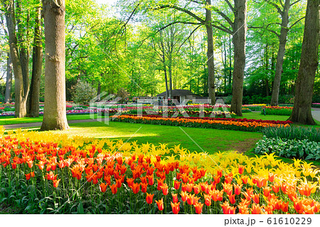 風景 公園 ベンチ ヨーロッパの写真素材 -