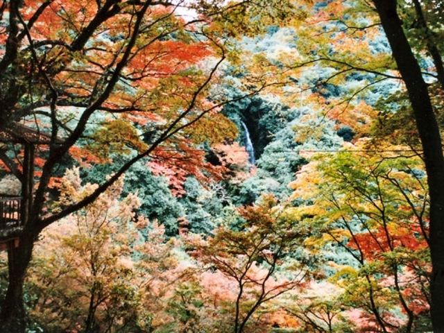 白滝公園 から近くて安い駐車場特Pとくぴー