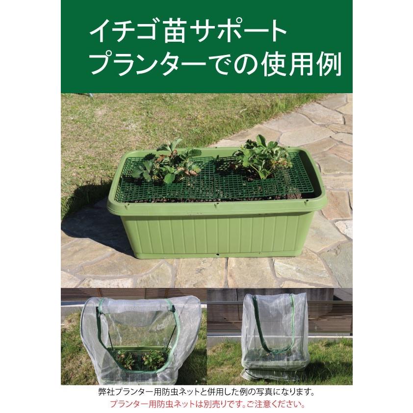 100均 セリアの「タワーポット」でお手軽いちごタワーを作ってみよう！ -
