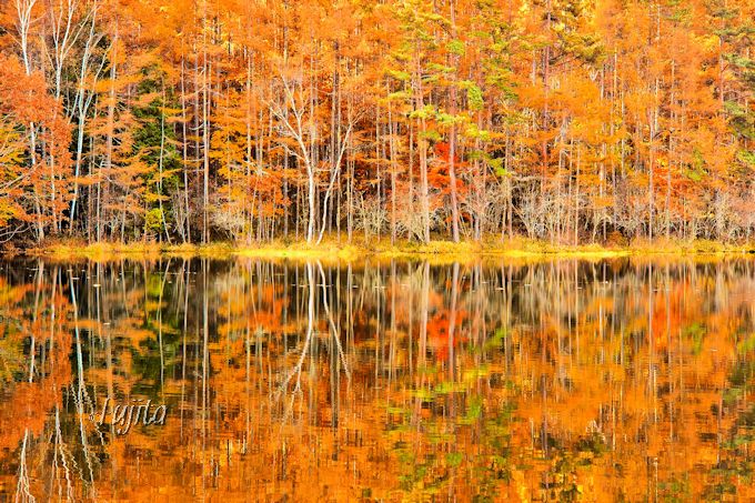 予算1万円台から叶う！10月におすすめ国内女子旅行プラン 関東・関西発 はるなトラベル