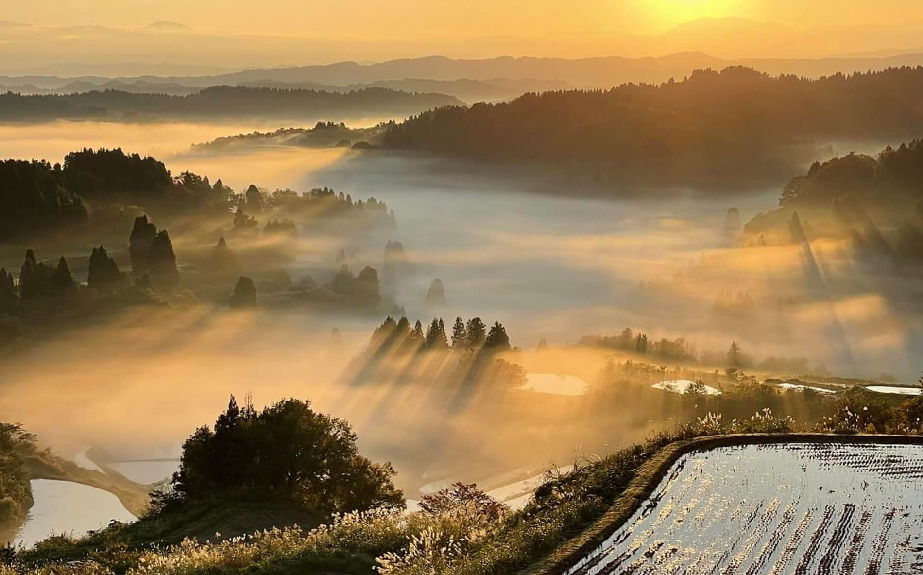 星峠の棚田で水鏡や雲海を見る！時期や発生条件・駐車場情報を解説 - amAtavi