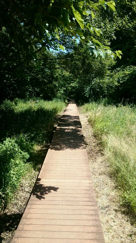 辻堂海浜公園体験・観光スポット公式 神奈川県のお出かけ・観光・旅行サイト「観光かながわNOW」