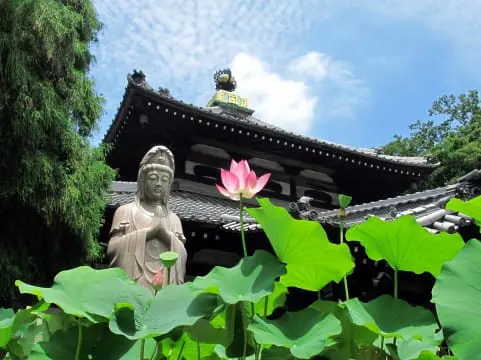 あなたの知らない韓国 吸い込まれるような美しさ。仏教芸術にふれる旅TABIZINE～人生に旅心を～