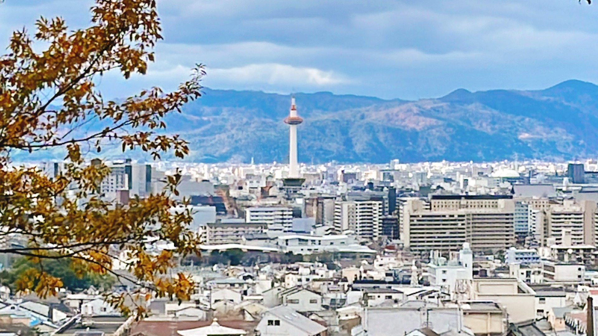 冬がおすすめ！ 京都夜景スポット5選そうだ 京都、行こう