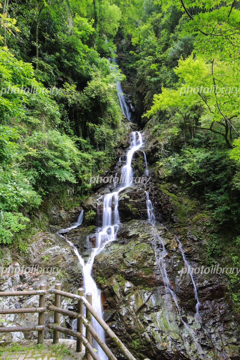 愛媛県大洲市 初冬の滝めぐりと肱川あらし展望公園四国内の観光スポット まいぷれ 新居浜市