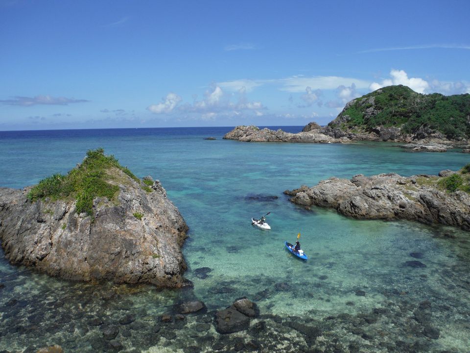 西表島マングローブフィッシング！！DAN -Fishing Line