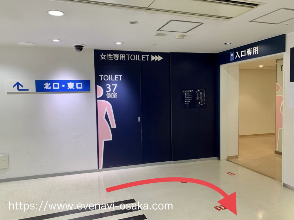 2025年 東京ドーム - 出発前に知っておくべきことすべて -