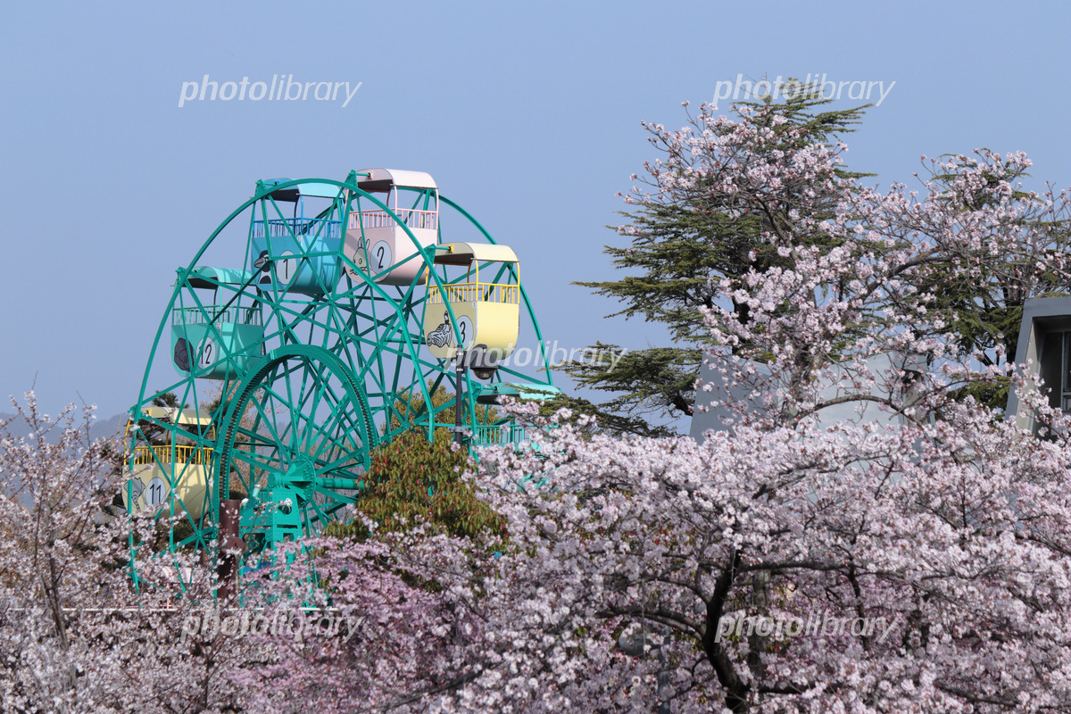 京都と滋賀に昔あった「思い出の遊園地」は？ 「デートでよく行った」「お化け屋敷でギャン泣き」京都新聞デジタル 京都・滋賀のニュースサイト
