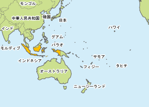 世界地図 国旗 ポスター A1