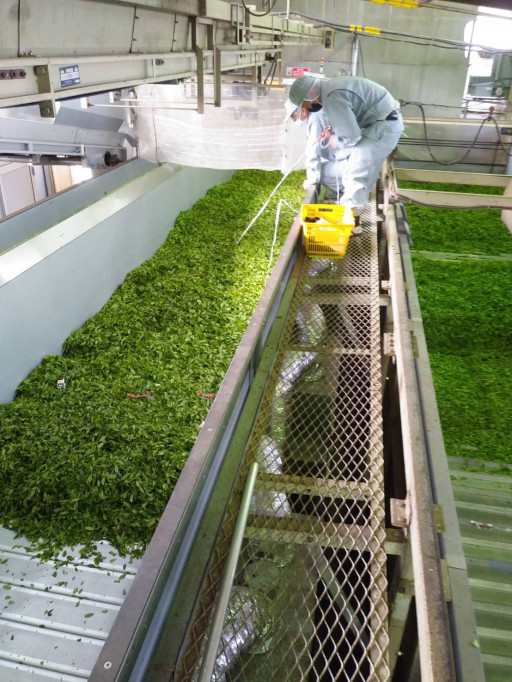 牧之原山本園茶園紹介和紅茶専門店レインブラントティ