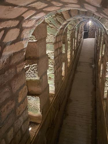 パリのカタコンブ：入場券 + オーディオガイド •