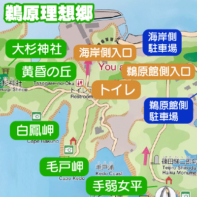 絶景の鵜原理想郷ハイキングコースと鵜原海水浴場!白い鳥居も必見ぺろことパールーンのワンダフォーLIFE