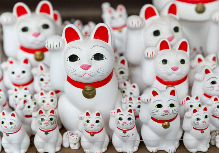 東急東横線」オススメ駅5選！一度は住んでみたい魅力あふれる街マンスリー48