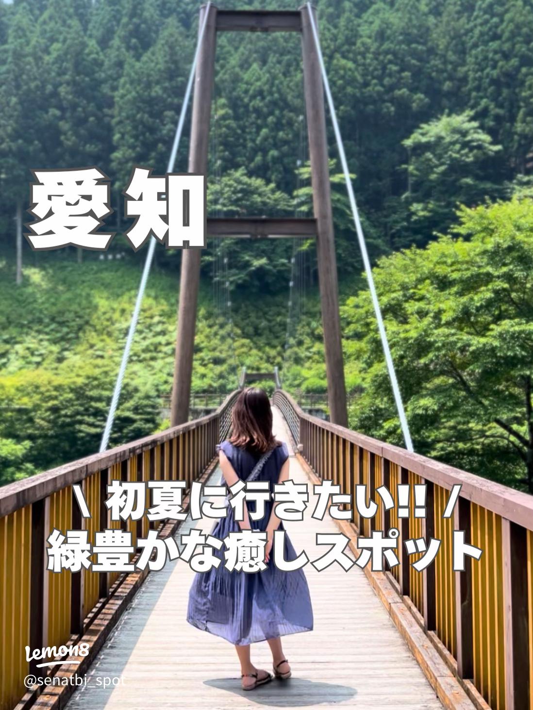 風のつり橋”からも楽しめる紅葉！豊田市の「大井平公園 おおいだいらこうえん 」豊田市の住みやすさを紹介