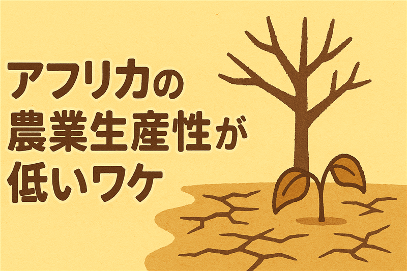 モノカルチャー・モノカルチャー経済とは？中学生にわかるよう簡単に解説！メリット・デメリットと問題点も紹介 - SpaceshipEarth