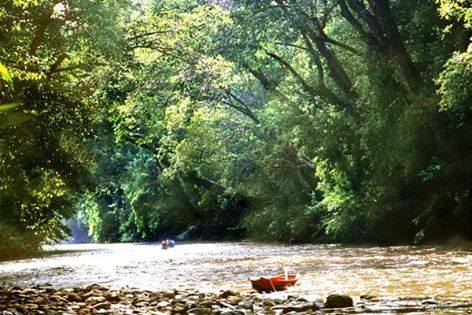 2025年 タマンネガラ国立公園のツアー ベスト10 -