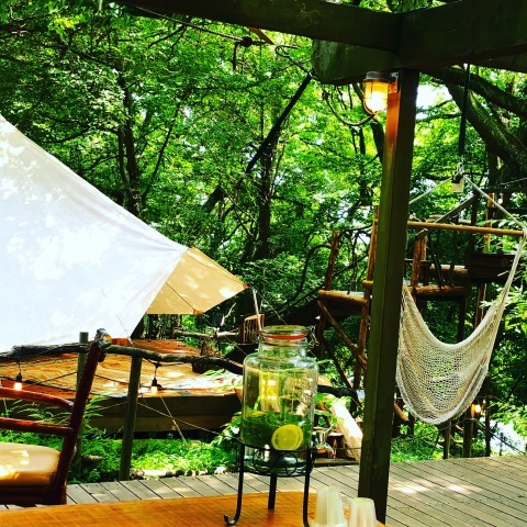 宇都宮アルプスの森 京屋茶舗@utsunomiya_alpsX