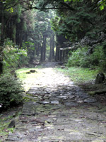 お馬さんと一緒に非日常味わいたくない？✨🍃熊本・阿蘇市にある直径約1kmの草原、草千里ヶ浜 くさせんりがはまではお馬さんと一緒に非日常な体験が出来ちゃう🐎 白と茶色の綺麗なお馬さんたちと同じ空間で、阿蘇の雄大な景色を 眺めながら散歩できるなんて本当に