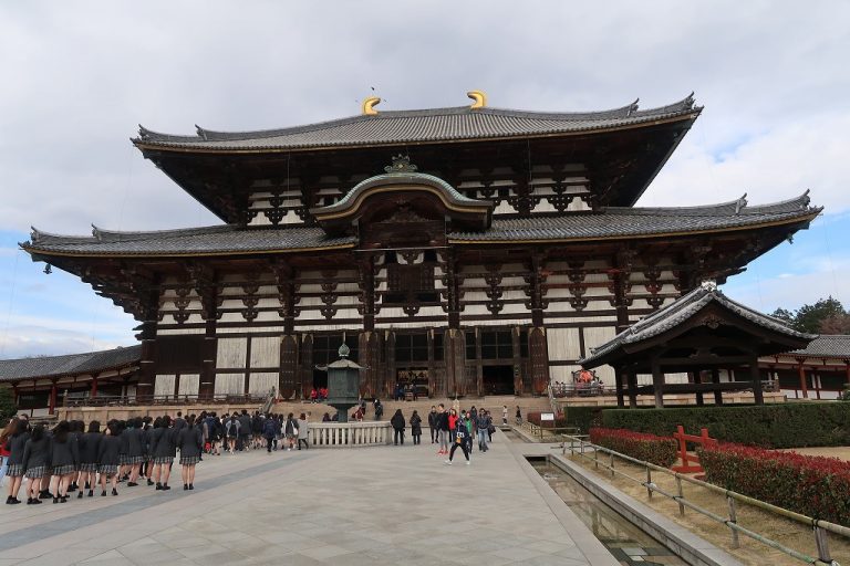 奈良公園奈良- ツアーとアクティビティエクスペディア