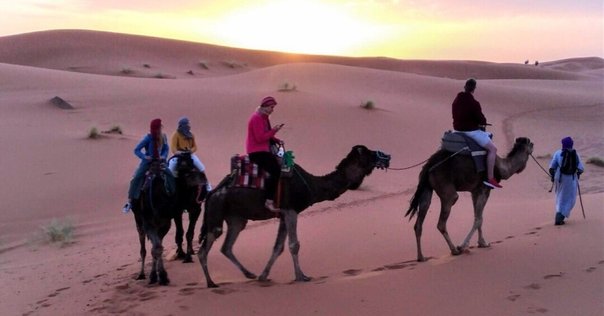 モロッコ旅行・ツアー・観光特集 ～青い迷宮シャウエン、フェズ、マラケシュとサハラ砂漠を満喫！～ユーラシア旅行社