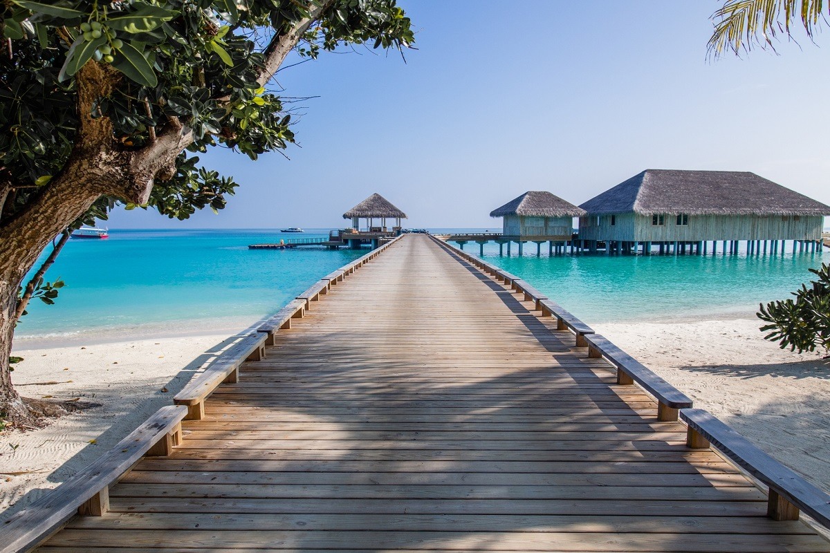 食事をしながら美しい海中の景色を見ることができる水中レストラン - GIGAZINE