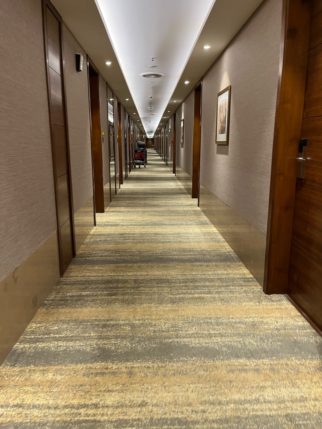 12か国目インド入国！ムンバイ空港でのアライバルビザや現地SIM情報など 2019年12月時点- 世界一周 めし旅