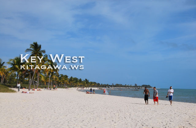 980点を超えるホーン岬のストックフォト、写真、そしてロイヤリティフリーの画像 - iStock