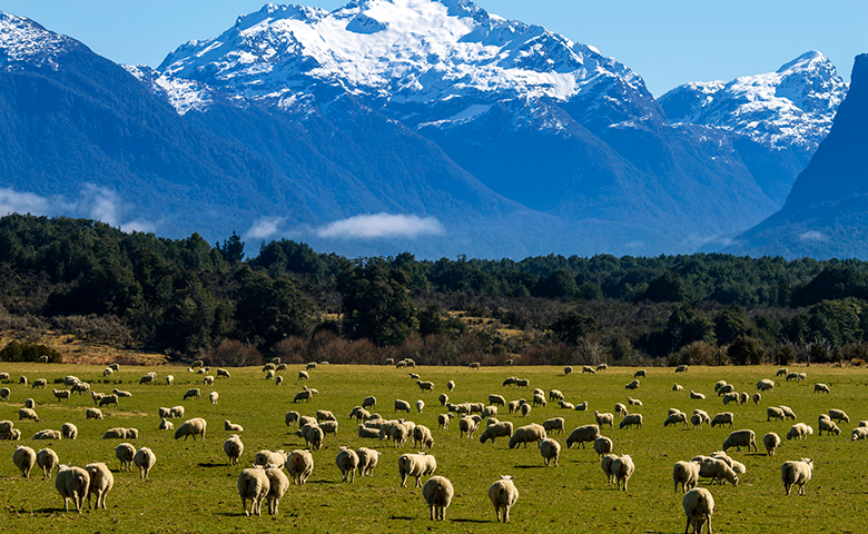 ニュージーランドの4～5月は黄金色！秋に訪れたい南島の町5選ニュージーランドトラベルjp 旅行ガイド