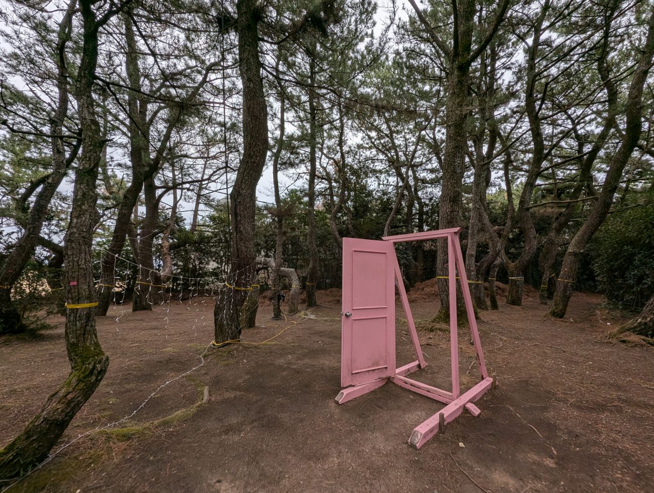 安乗岬園地 の周辺スポット・アクセス・口コミ -