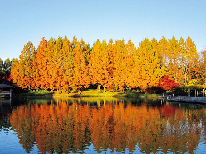 栃木県の知られざる観光スポット20選地元民しか知らない穴場もご紹介Hinotori